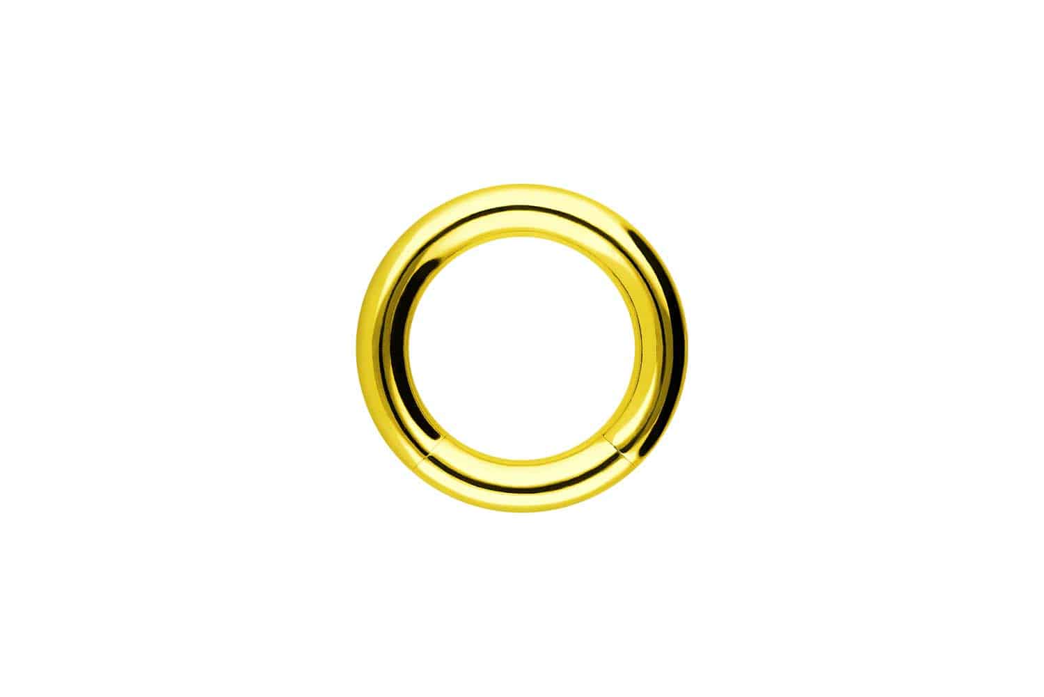 Chirurgenstahl Segmentring von Piercingline